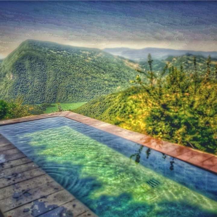 შემოდგომის რაჭა - ლეჩხუმი, ლაილაში საირმის სვეტები