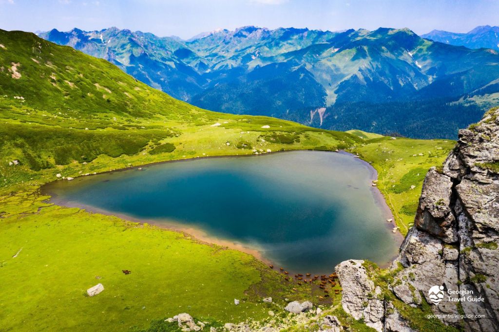 მოირონინე ლებარდეს დიდი და პატარა ტობა