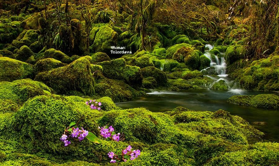 შურუბუმუ, გვალაშარა, ბალდის კანიონი, კაღუს ჩანჩქერი