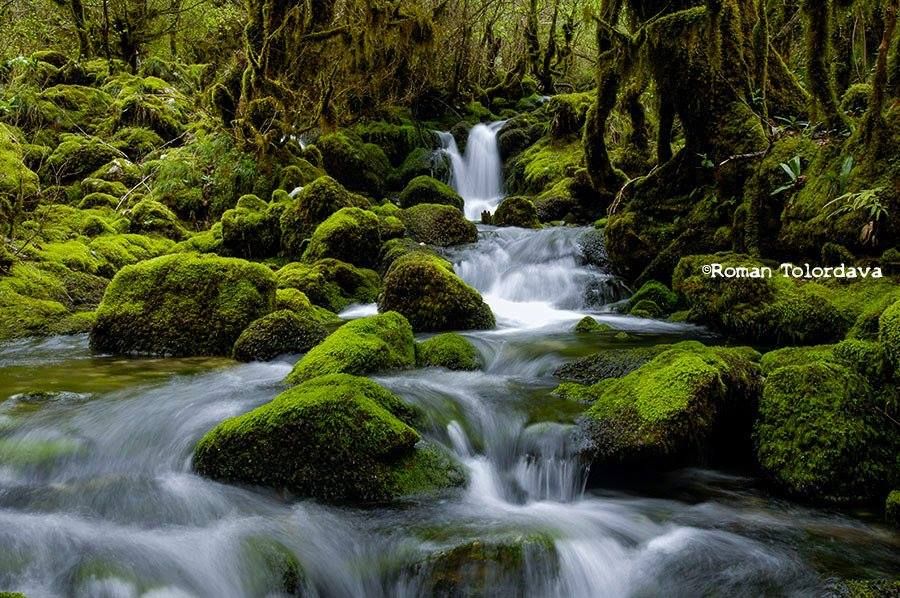შურუბუმუ, გვალაშარა, ბალდის კანიონი, კაღუს ჩანჩქერი