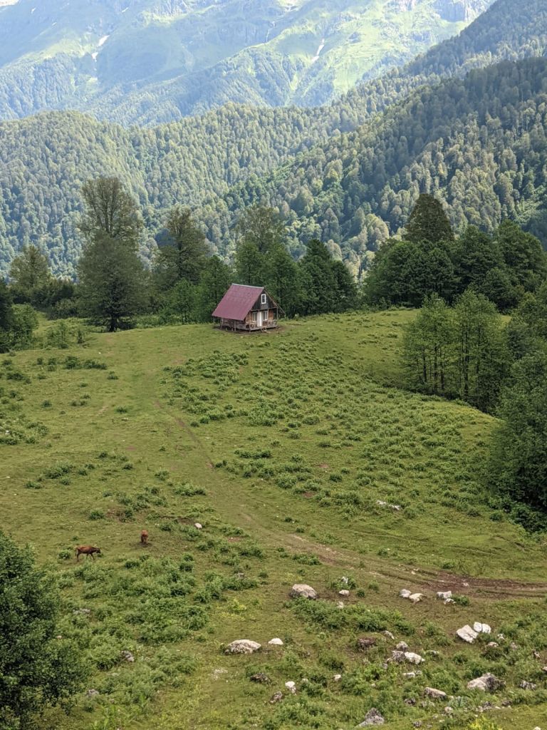ტობავარჩხილის ტური 