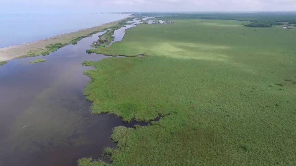 კოლხეთის ეროვნული პარკი: პალიასტომის ტბა - ფიჩორი