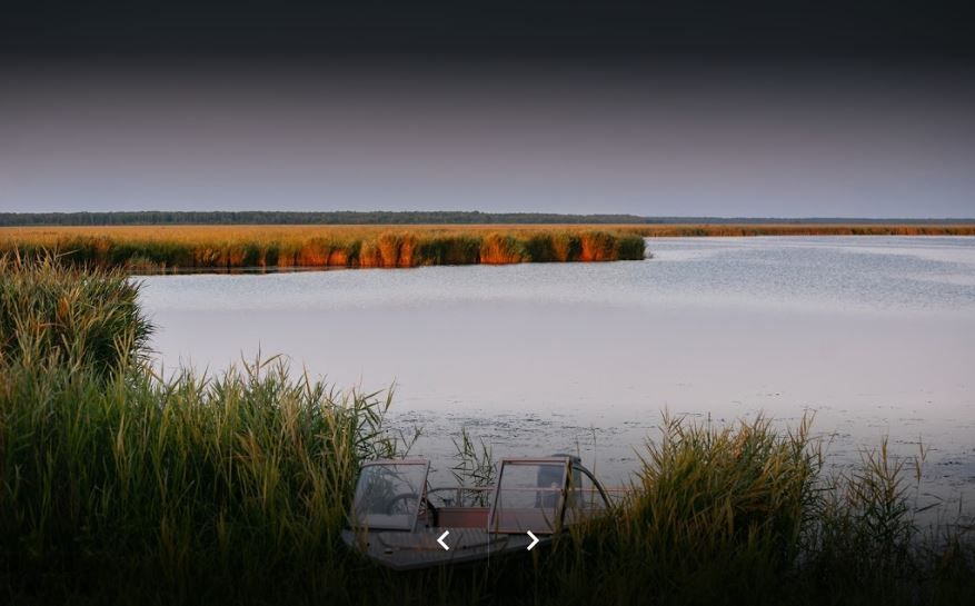 კოლხეთის ეროვნული პარკი: პალიასტომის ტბა - ფიჩორი