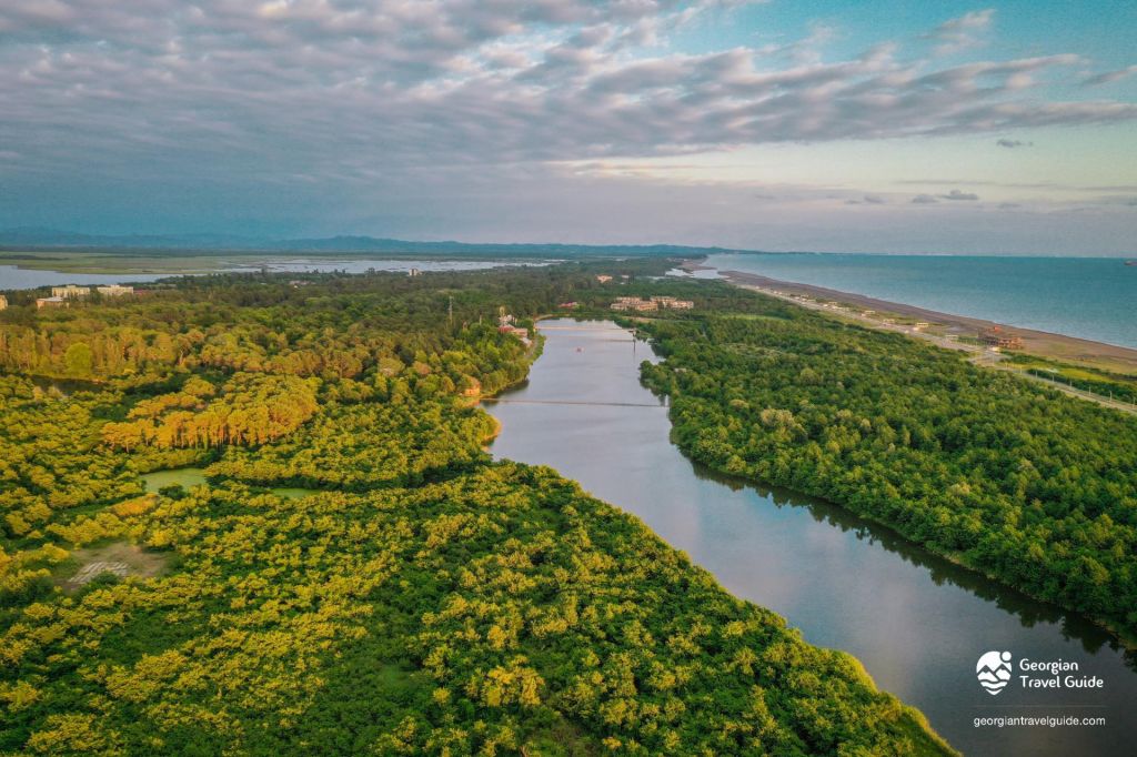 კოლხეთის ეროვნული პარკი: პალიასტომის ტბა - ფიჩორი