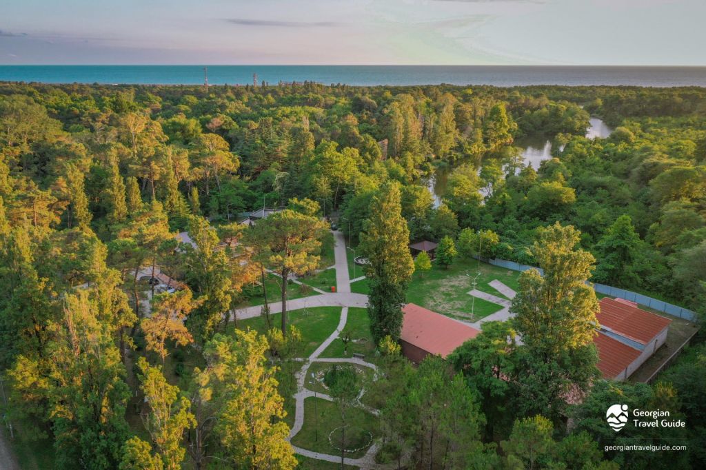 კოლხეთის ეროვნული პარკი: პალიასტომის ტბა - ფიჩორი