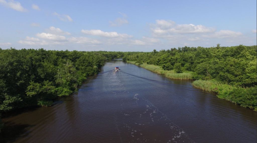 კოლხეთის ეროვნული პარკი: პალიასტომის ტბა - ფიჩორი