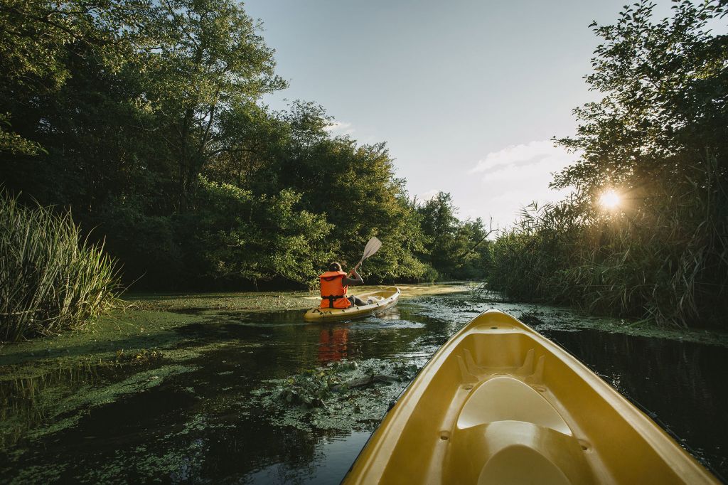 კოლხეთის ეროვნული პარკი: პალიასტომის ტბა - ფიჩორი
