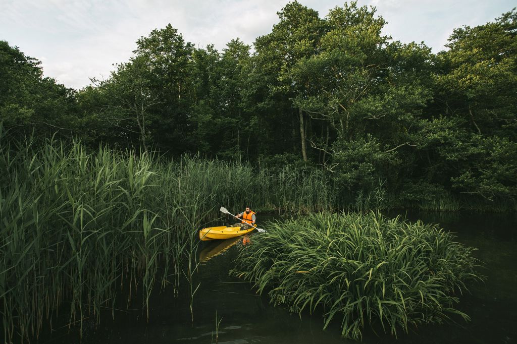 კოლხეთის ეროვნული პარკი: პალიასტომის ტბა - ფიჩორი