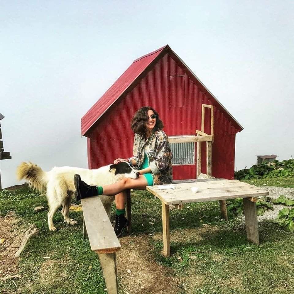 დღიანი ტური გომისმთაზე - , აგვისტო