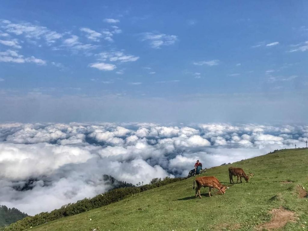 დღიანი ტური გომისმთაზე - , აგვისტო
