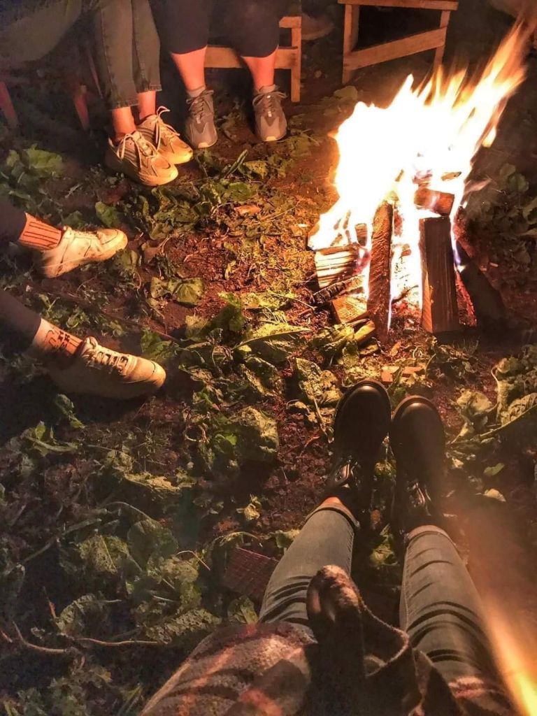 დღიანი ტური გომისმთაზე - , აგვისტო