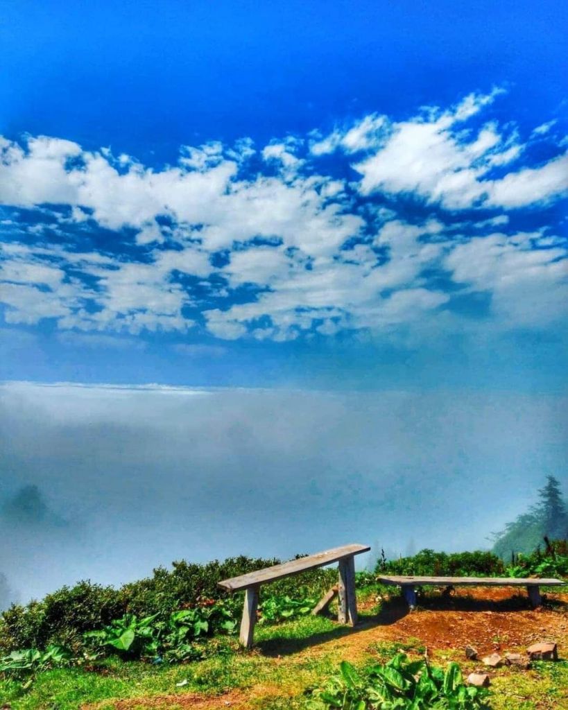 დღიანი ტური გომისმთაზე - , აგვისტო