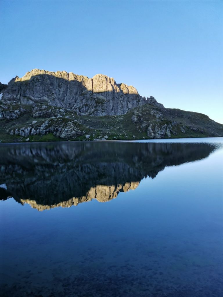 ტობავარჩხილი