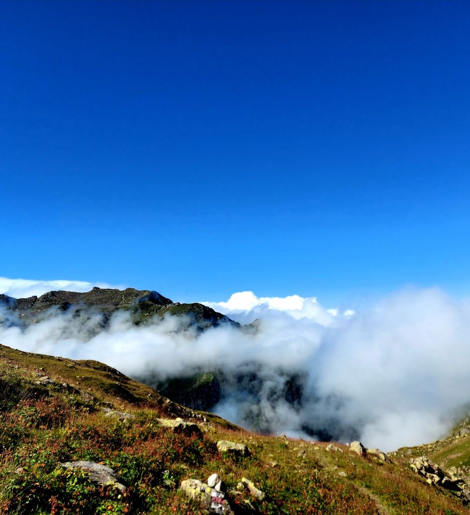 ტობავარჩხილი