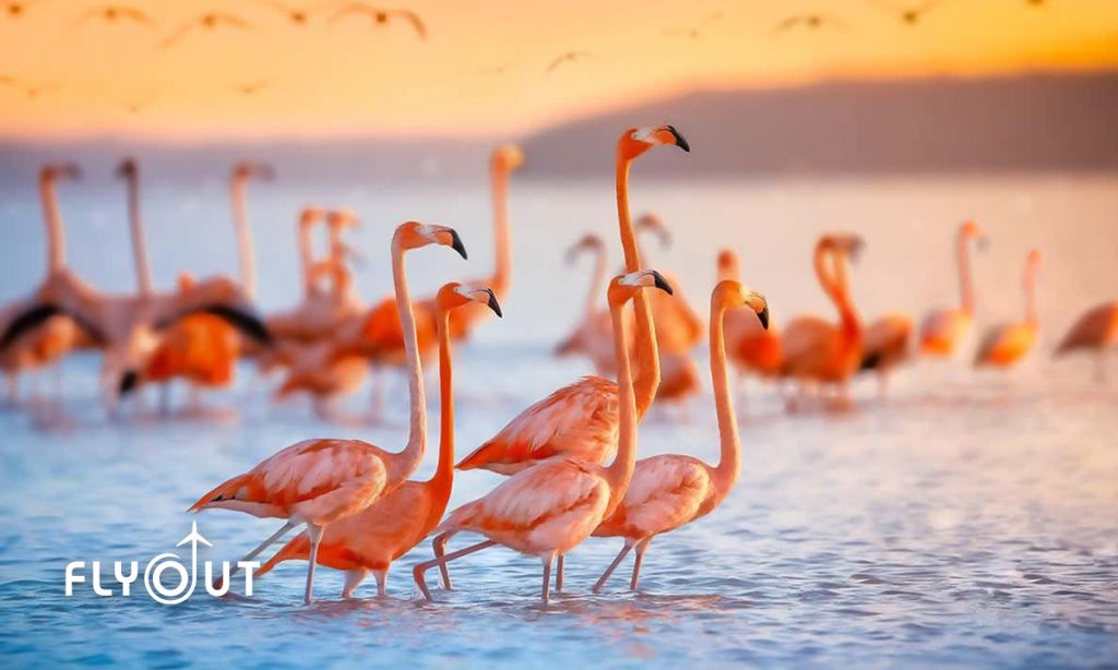 კვიპროსი - ლარნაკა