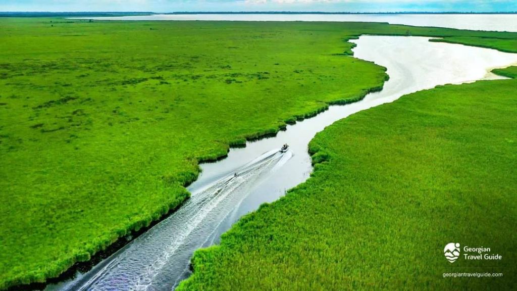 პალიასტომის ტბა + კოლხეთის ეროვნული პარკი აგვისტო