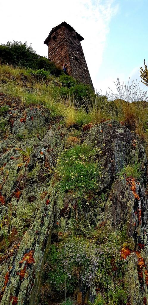 დღიანი ტური სექტემბერს