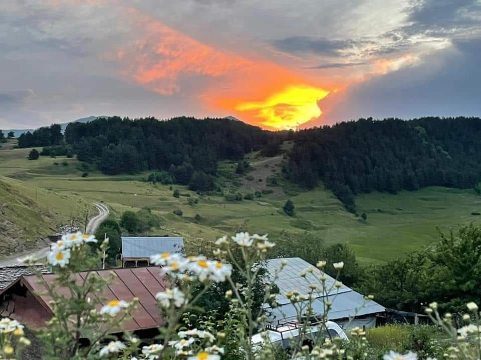 დღიანი ტური სექტემბერს