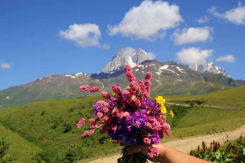 სვანეთის  დღიანი დაუვიწყარი ტური : კომფორტული ტრანსპორტით