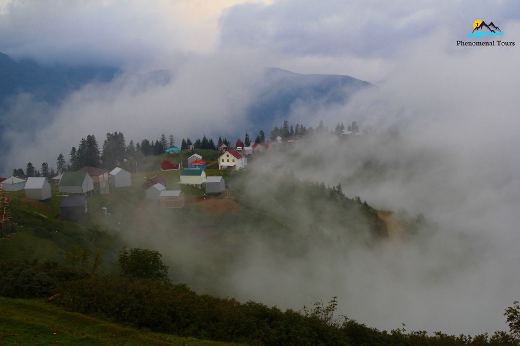 Two Days Trip in Gomismta and Dendrological park