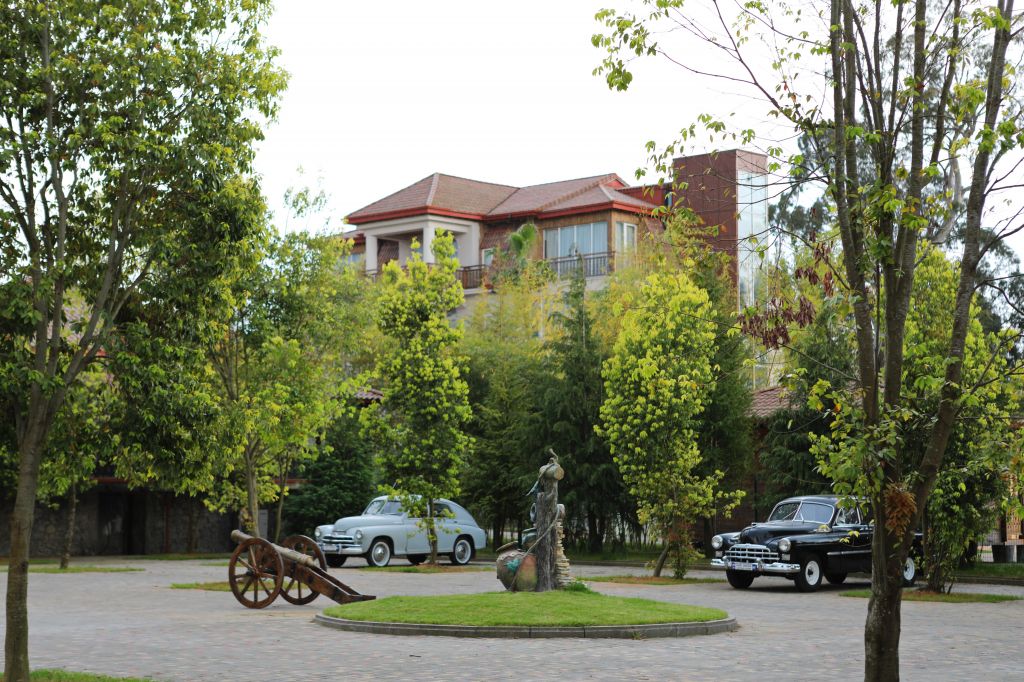 შატო კვირიკე“-ში გრანდიოზული სამზადისი რთველისთვის იწყება