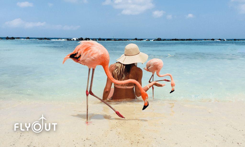 თურქეთი/ბოდრუმი