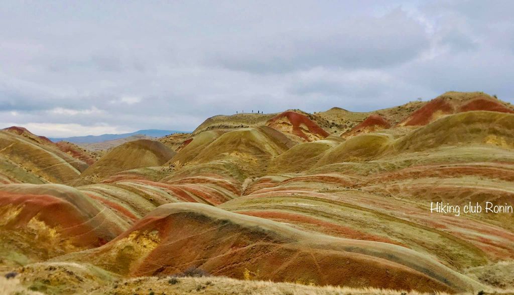 მოირონინე ფერადი უდაბნო