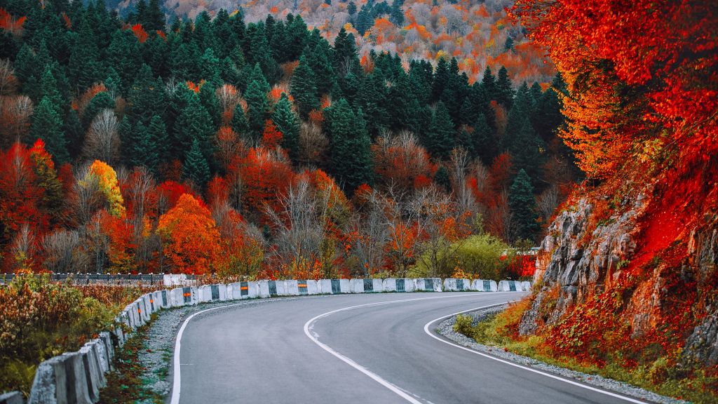 - სექტემბერი - რაჭის ორდღიანი ტური