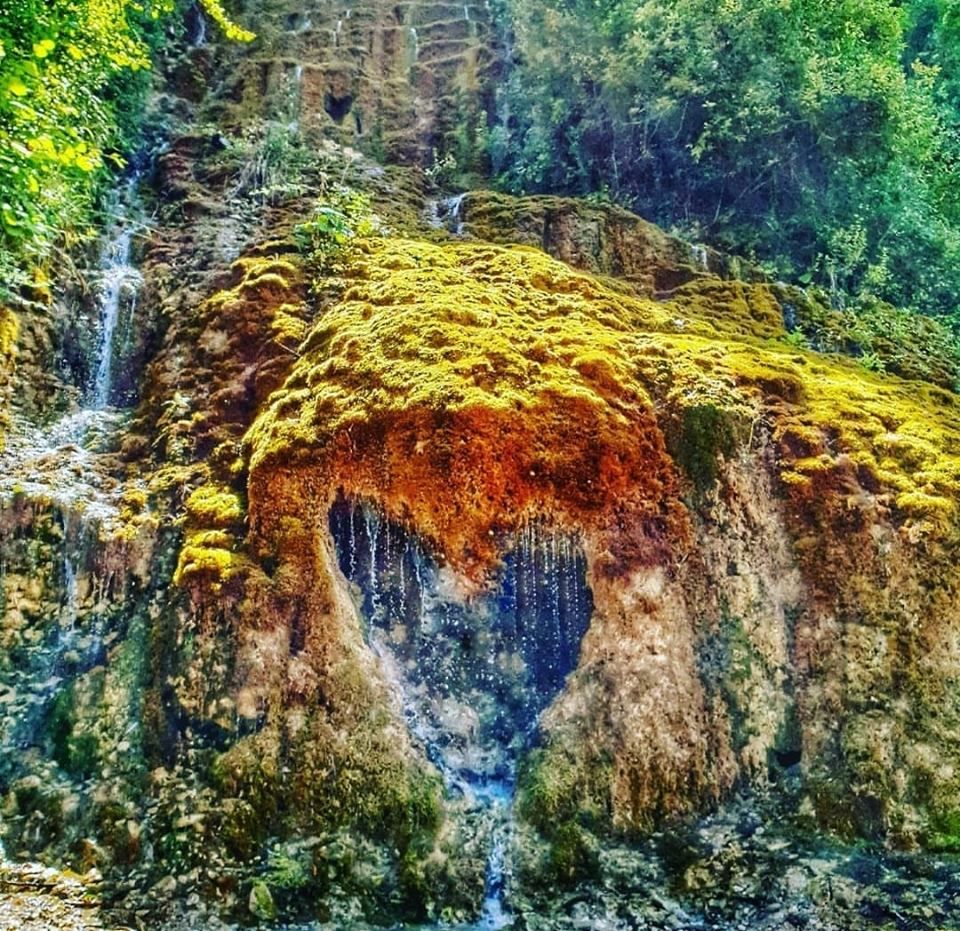 - სექტემბერი - რაჭის ორდღიანი ტური