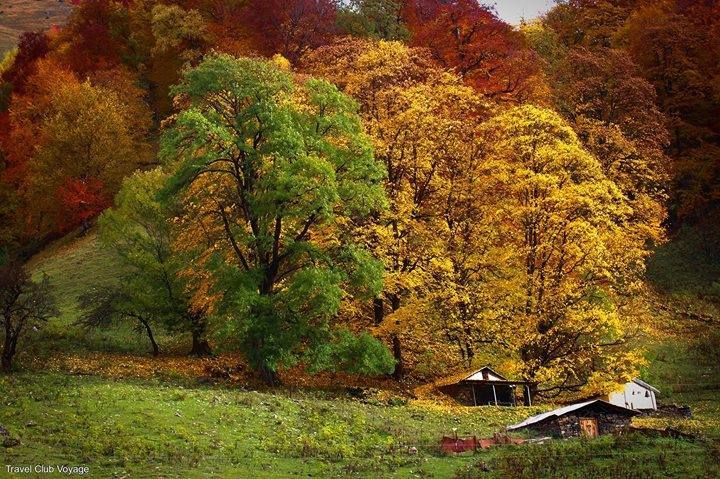 გუდამაყარი, ბაზალეთის ტბა
