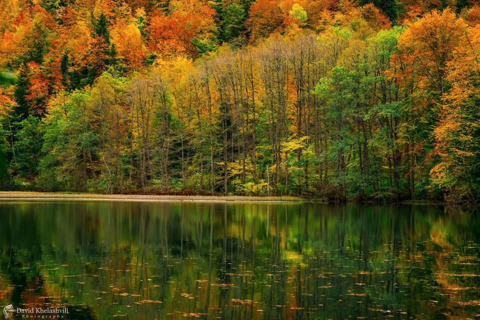 მზოვრეთი, ბატეთის ტბა, ქოზიფა, სარკინეთი, ორთუბანი