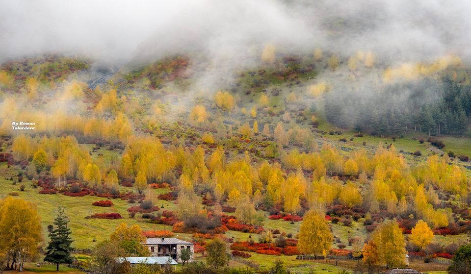 Autumn in Svaneti! 3 days trip