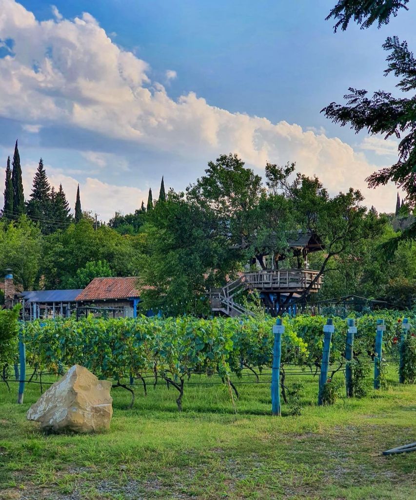 წინანდალი, ერეკლეს სასახლე, მეღვინეობა - შუმი, შუამთა