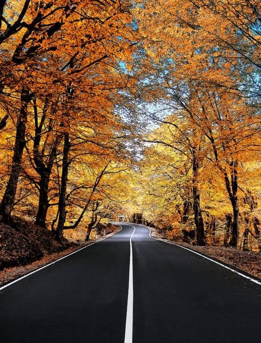 წინანდალი, ერეკლეს სასახლე, მეღვინეობა - შუმი, შუამთა