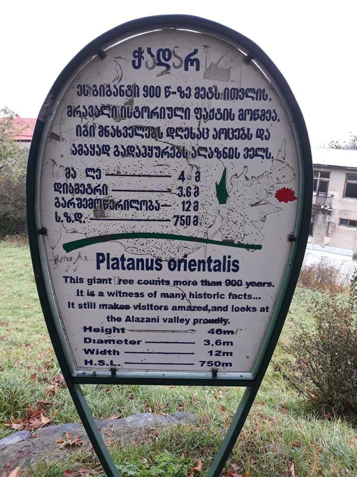 წინანდალი, ერეკლეს სასახლე, მეღვინეობა - შუმი, შუამთა