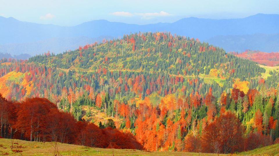 ბახმარო-ვანი დიხაშხოს ჭალები
