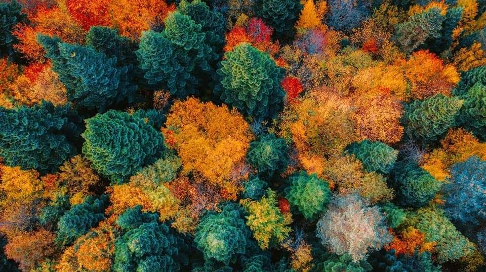 რაჭა + ცხრაჯვარი + ბარაკონი  ოქტომბერს