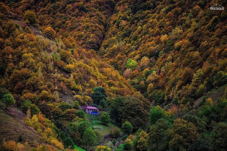 გუდამაყრის ტური, სულ  ♡ შემოდგომის  ელფერი
