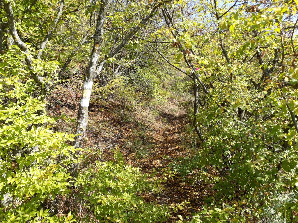 ლაშქრობა ვერეს ხეობაში: ბეთანია - შემოდგომის ზღაპარი