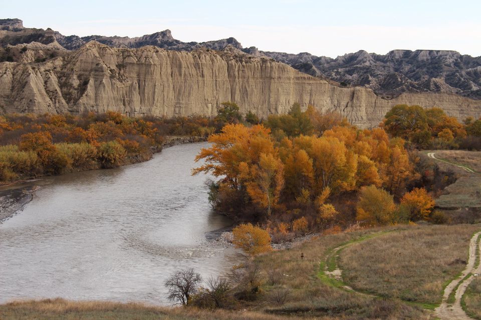 ვაშლოვანი - მიჯნისყურე / ჯიპ ტური