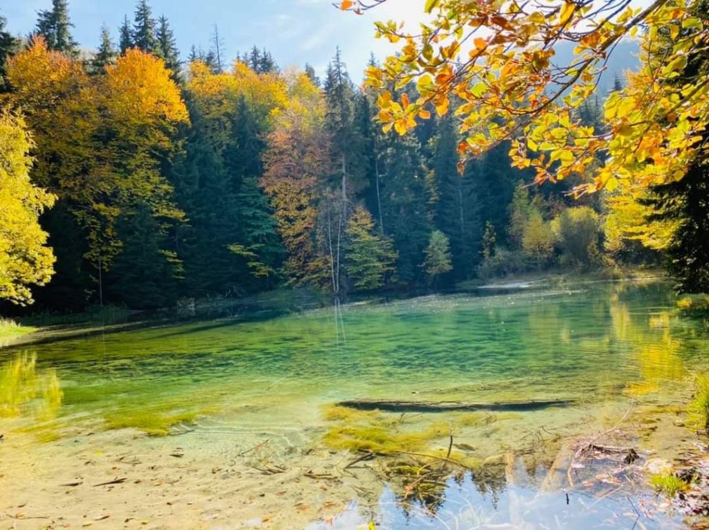 ტამის ტბა / კლიკიჯვარი ჯიპ-ტური