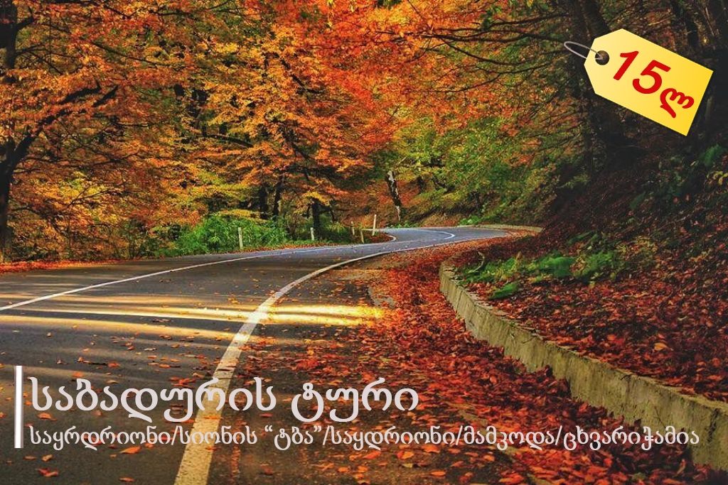 საბადურის ალმურ-ტური ლ ! + სიონი/ნადოკრა/მამკოდა/დათვების თავშესაფარი/ცხვარიჭამია/საყდრიონი