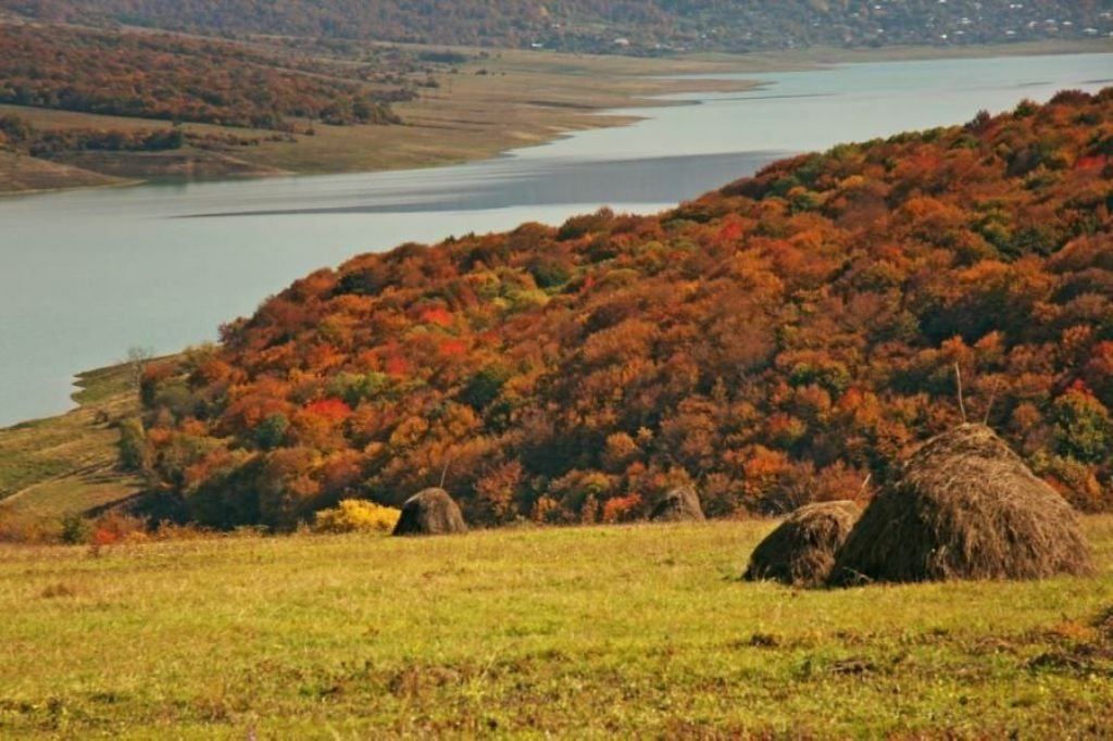 საბადურის ალმურ-ტური  ლ ! + სიონი/ნადოკრა/მამკოდა/დათვების თავშესაფარი/ცხვარიჭამია/საყდრიონი