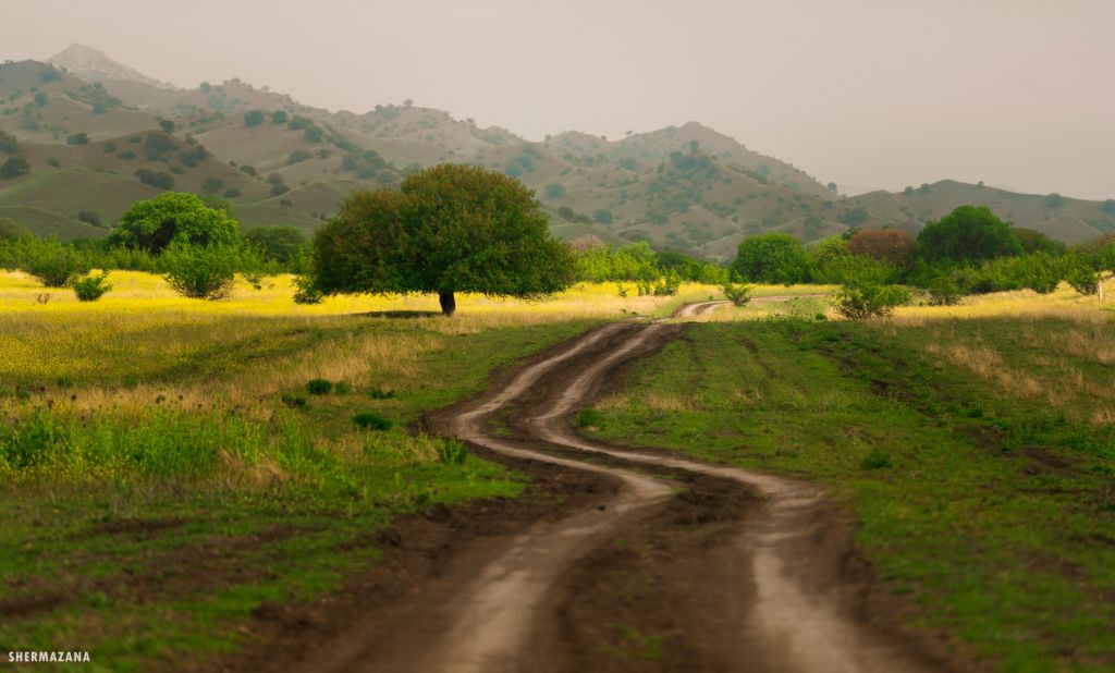 ოქტომბერი (კვირა) - განსხვავებული ვაშლოვანის ტური