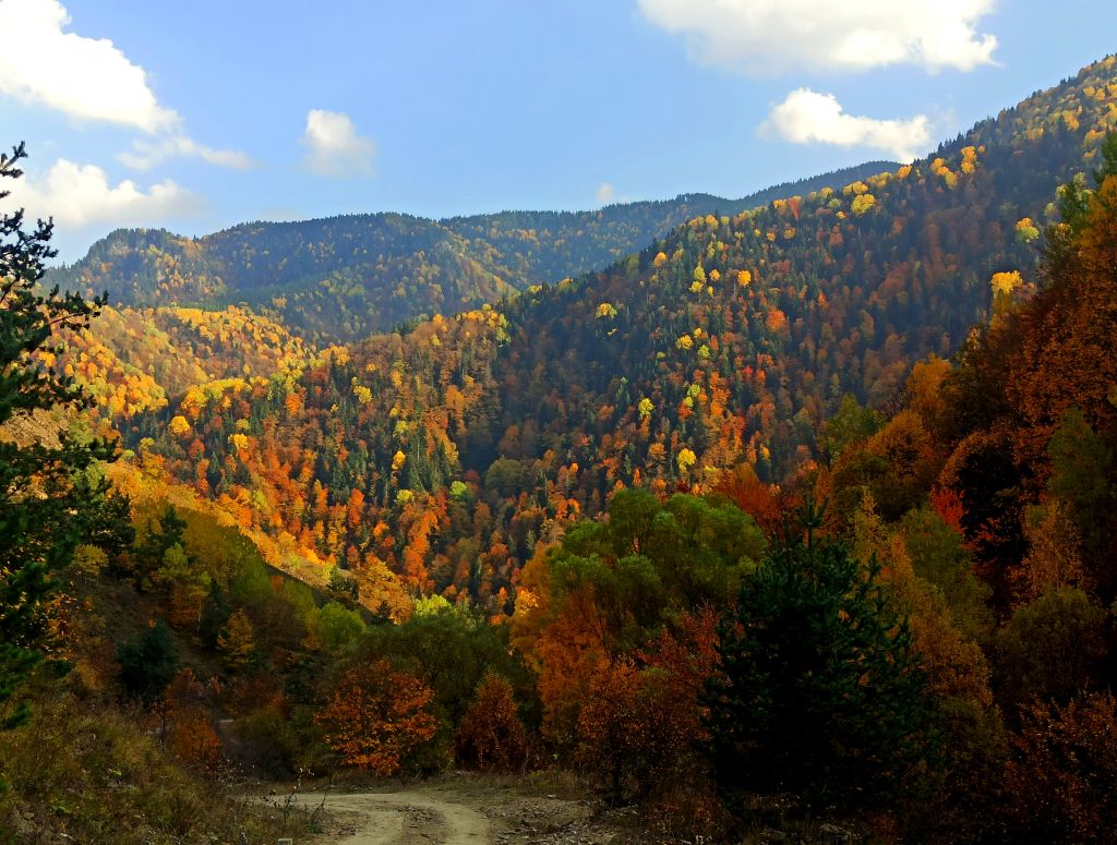 ერთდღიანი ჯიპ-ტური ძამას ხეობაში! ყინწვისი, ორთუბანი, მზოვრეთი, სარკინეთი, ქოზიფა, ზემო და ქვემო შუანო, შუანოს მთა და ულამაზესი ბატეთის ტბა ❤️❤️❤️