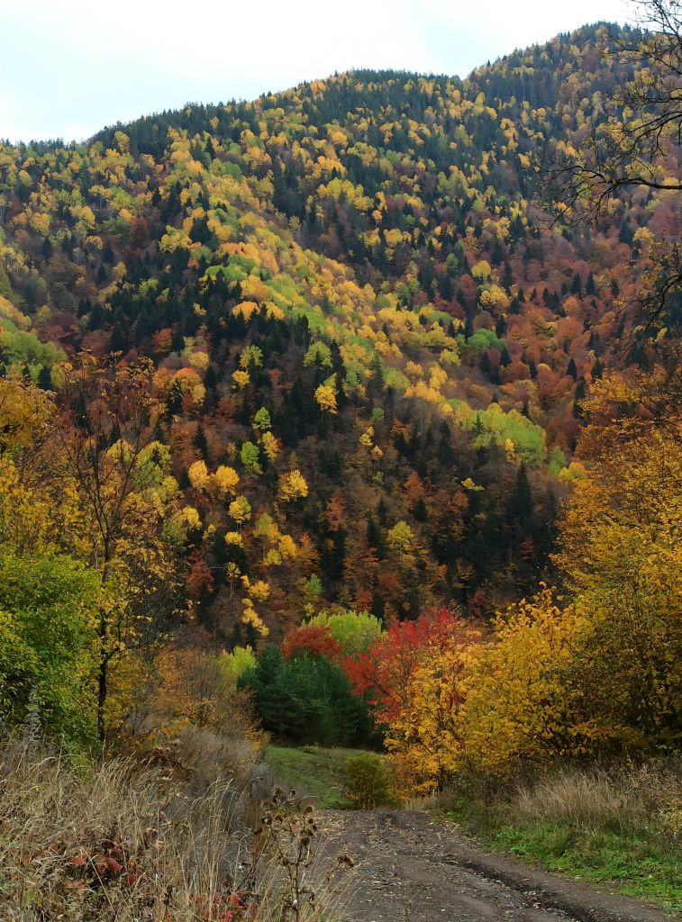ერთდღიანი ჯიპ-ტური ძამას ხეობაში! ყინწვისი, ორთუბანი, მზოვრეთი, სარკინეთი, ქოზიფა, ზემო და ქვემო შუანო, შუანოს მთა და ულამაზესი ბატეთის ტბა ❤️❤️❤️