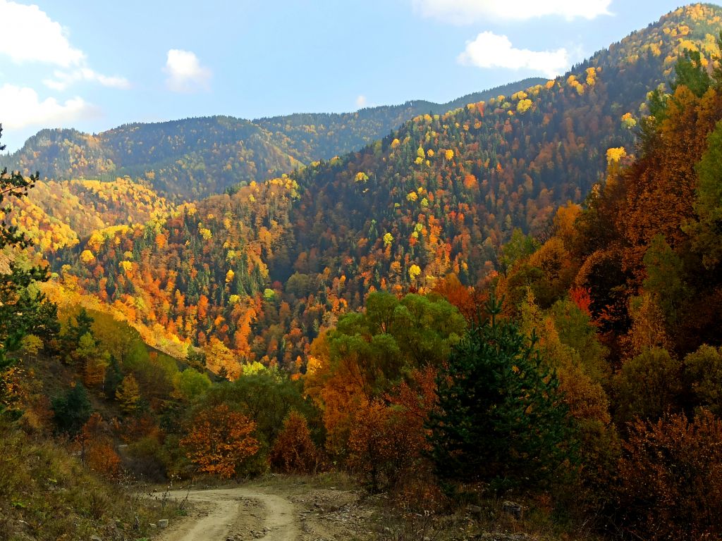 ერთდღიანი ჯიპ-ტური ძამას წმინდა ხეობაში! ყინწვისი, ორთუბანი, მზოვრეთი, სარკინეთი, ქოზიფა, შუანოს მთა და ულამაზესი ბატეთის ტბა ❤️❤️❤️