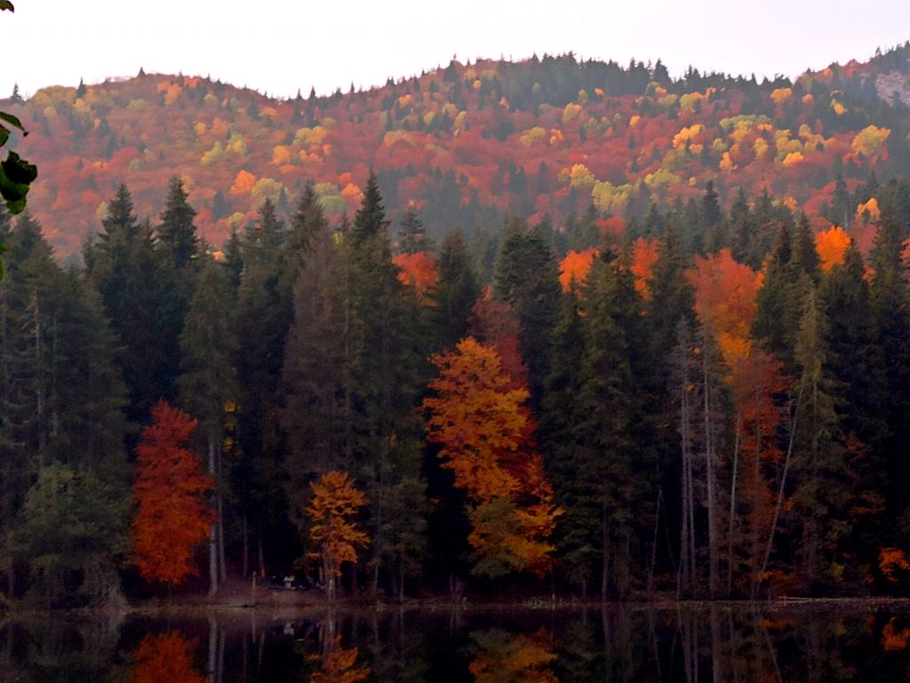 ერთდღიანი ჯიპ-ტური ძამას წმინდა ხეობაში! ყინწვისი, ორთუბანი, მზოვრეთი, სარკინეთი, ქოზიფა, შუანოს მთა და ულამაზესი ბატეთის ტბა ❤️❤️❤️