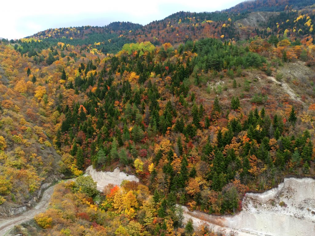 ერთდღიანი ჯიპ-ტური ძამას წმინდა ხეობაში! ყინწვისი, ორთუბანი, მზოვრეთი, სარკინეთი, ქოზიფა, შუანოს მთა და ულამაზესი ბატეთის ტბა ❤️❤️❤️