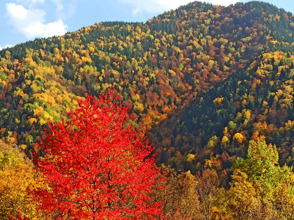 ერთდღიანი ჯიპ-ტური ძამას წმინდა ხეობაში! ყინწვისი, ორთუბანი, მზოვრეთი, სარკინეთი, ქოზიფა, შუანოს მთა და ულამაზესი ბატეთის ტბა ❤️❤️❤️